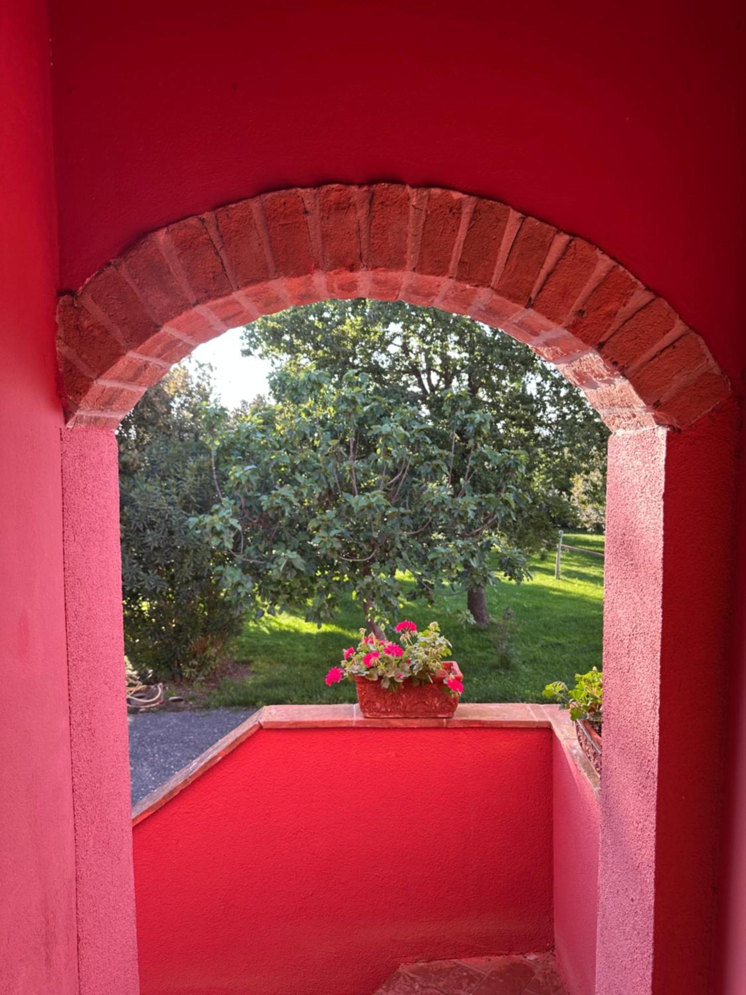 Bio Agriturismo Il Melograno Di Banditella Ristorante Alberese Luaran gambar