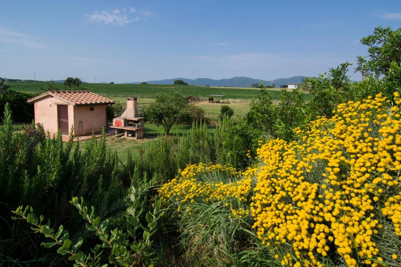 Bio Agriturismo Il Melograno Di Banditella Ristorante Alberese Luaran gambar