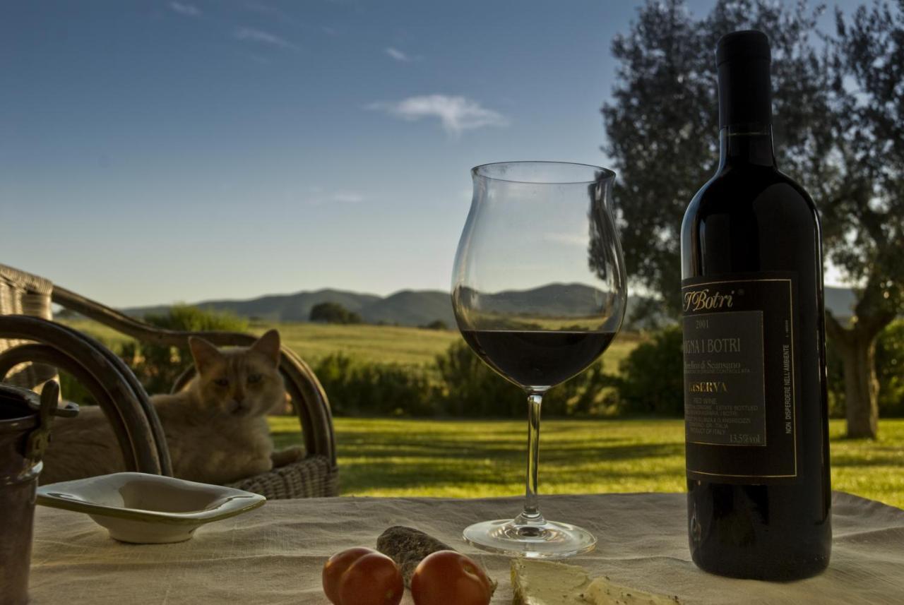 Bio Agriturismo Il Melograno Di Banditella Ristorante Alberese Luaran gambar