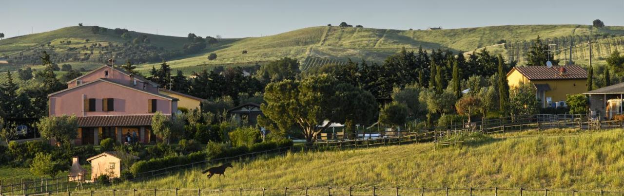 Agriturismo Il Melograno Di Banditella Alberese Luaran gambar